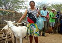 procase-com-caprinovinocultura-no-semiárido-paraibano-4.jpg