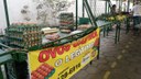 ovos1 10-02-2021x.jpg