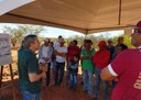 03_07_19 Produtores começam colheita de algodão consorciado com milho e gergelim (2).jpg