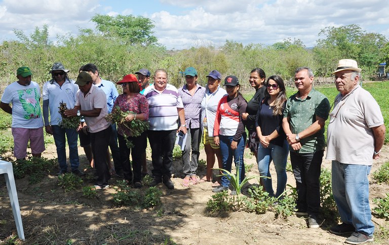 dia de campo sobre producao de amendoim agroecologico (4)d.jpg