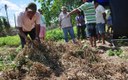 dia de campo sobre producao de amendoim agroecologico (5)f.jpg