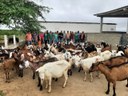 visita criadores 20-06.jpg