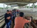visita criadores2 20-06.jpg