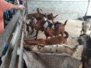 visita criadores3 20-06.jpg