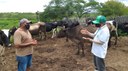 Pombal.07-04.jpg
