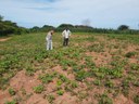 Aguiar2 08-04.jpg