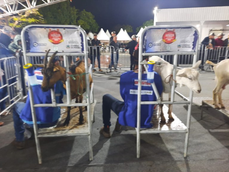 WhatsApp Image 2025-09-06 at 10.39.15-2.jpeg