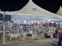 Expo Pocinhos 1.jpeg