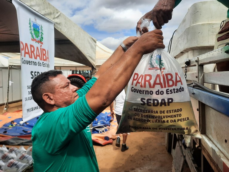 Alevinos - Sedap-PB Programa da Piscicultura.jpg