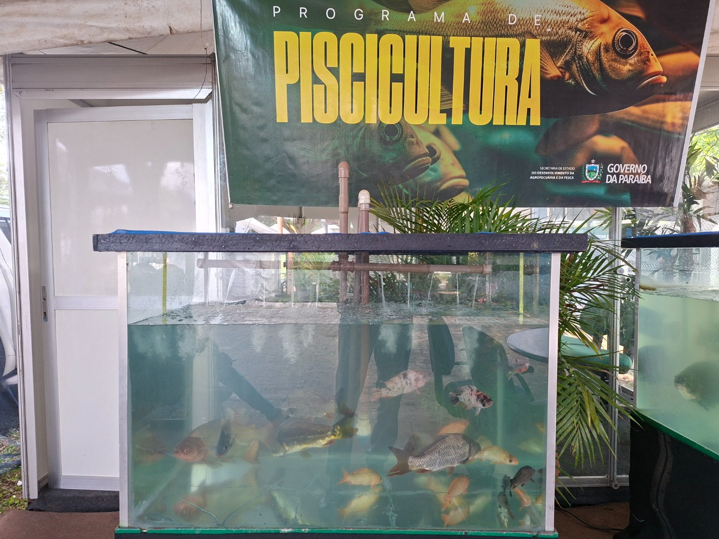 Estande do programa de Piscicultura.jpg