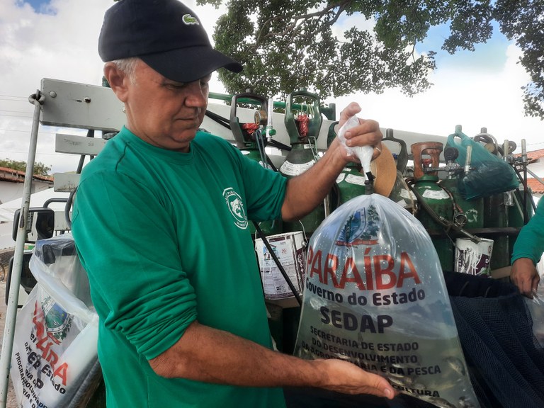 Alevinos distribuídos.jpg