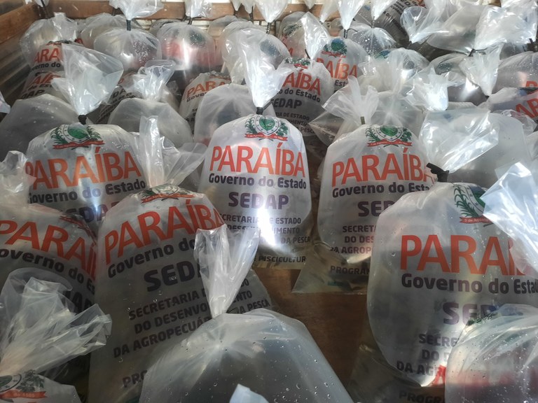 Distribuição de alevinos.jpg