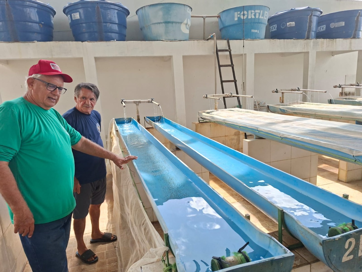 Viveiros de alevinos.jpeg