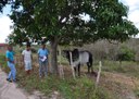 06_03_2020 Agricultores exibem com satisfação título de posse de terras concedido pelo governo (4).JPG