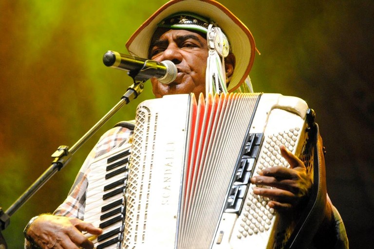 pinto do acordeon.jpg