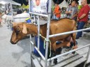 Torneio Leiteiro - Gurjão - Bode na Rua.jpg