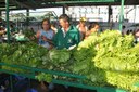DSC_0744agroa.jpg