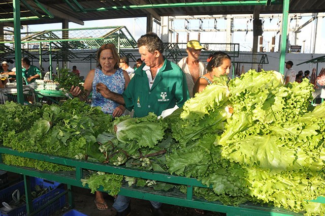 DSC_0744agroa.jpg DSC_0744agroa.jpg