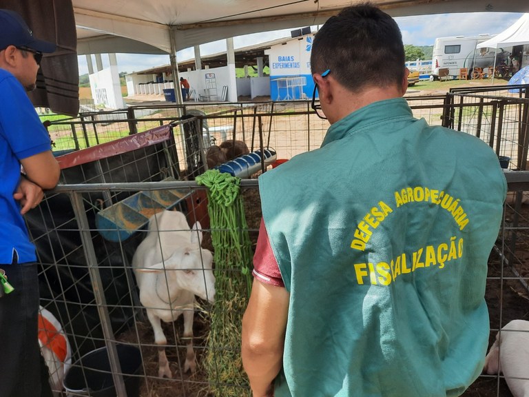 Defesa Agropecuária.jpg