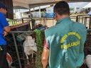 Defesa Agropecuária.jpg
