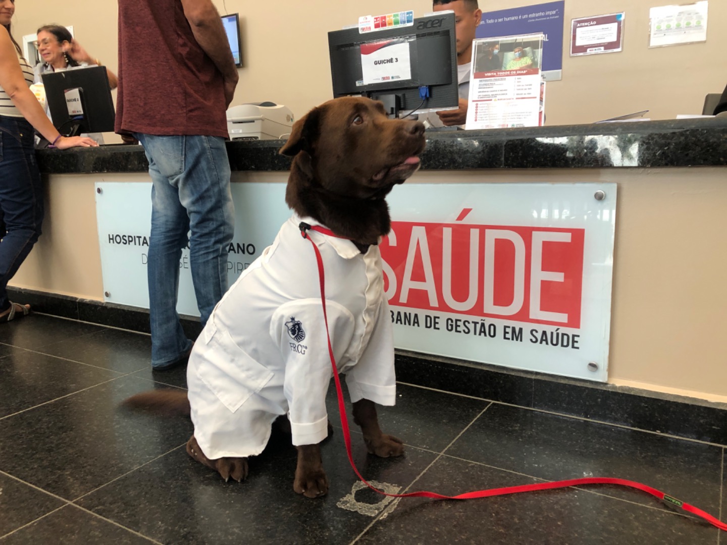 Hospital Metropolitano comemora 1 ano do projeto de cinoterapia (4).JPG