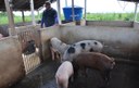 projeto Dom Helder tira da pobreza 2704 familias na PB (2).JPG