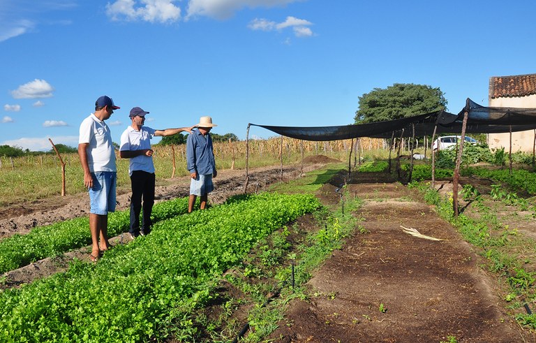 projeto Dom Helder tira da pobreza 2704 familias na PB (5).JPG