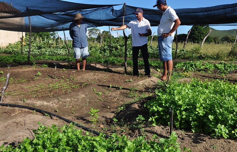 projeto Dom Helder tira da pobreza 2704 familias na PB (6).JPG