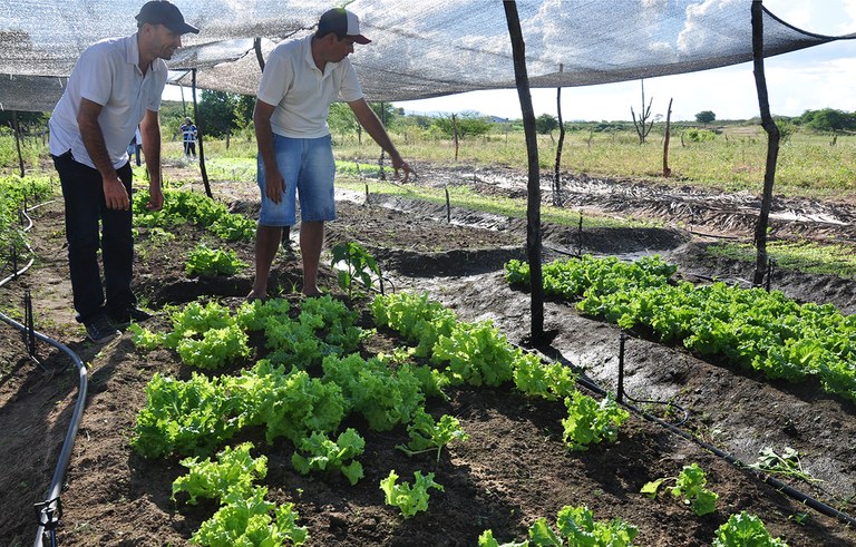 projeto Dom Helder tira da pobreza 2704 familias na PB (7).JPG