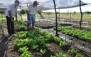 projeto Dom Helder tira da pobreza 2704 familias na PB (7).JPG