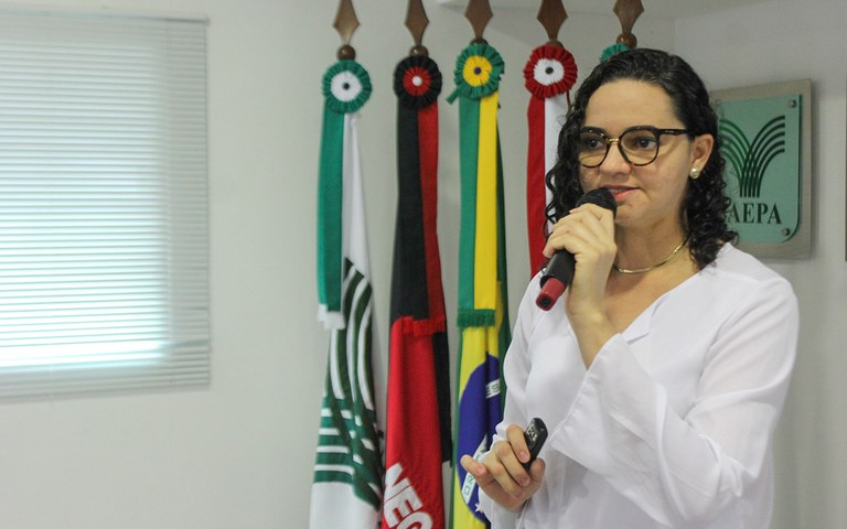 ses seminario de combate a dengue zika e chikungunya (2).jpeg
