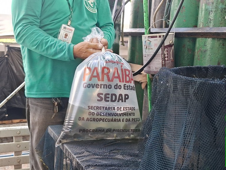 Alevinos - Programa de Piscicultura.jpg