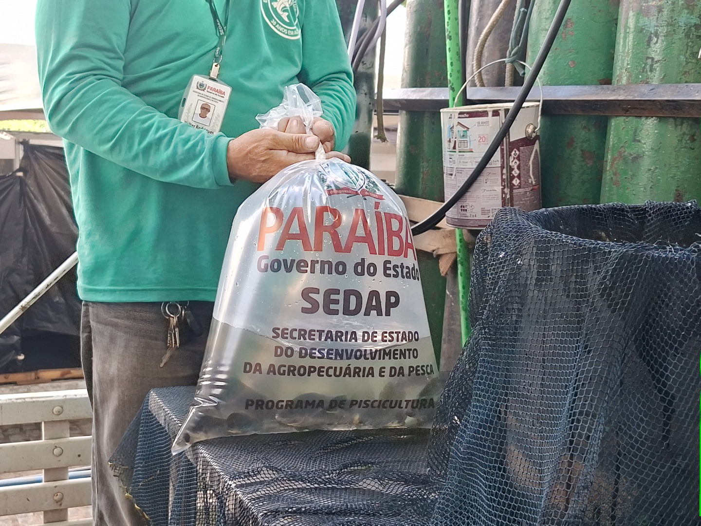 Alevinos - Programa de Piscicultura.jpg