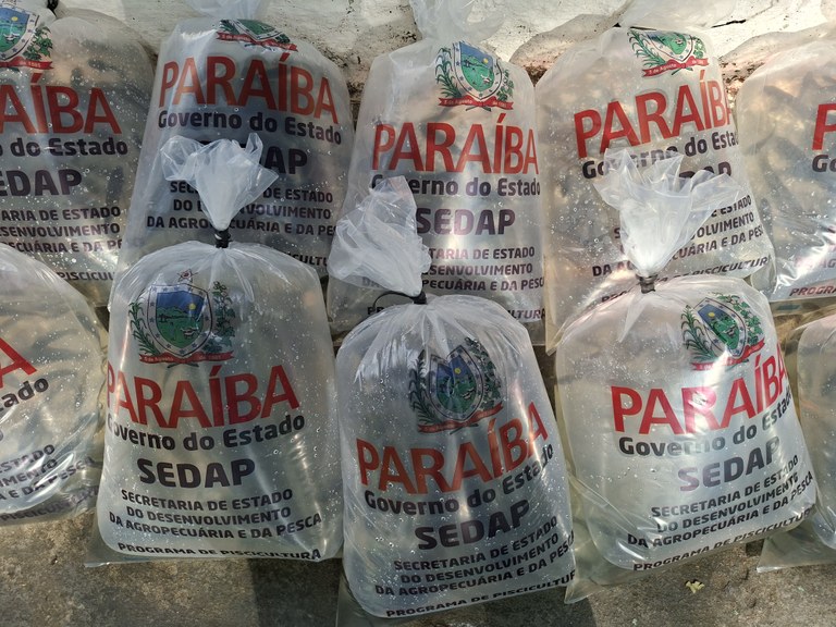 Alevinos - Entrega.jpg