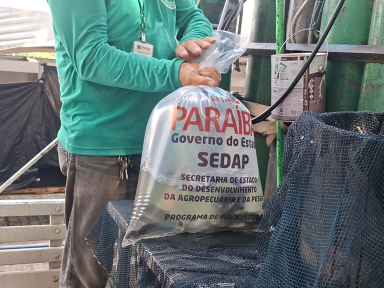 Alevinos - Piscicultura.jpg