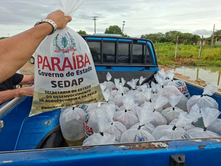 Sedap-PB Alevinos 3.jpeg
