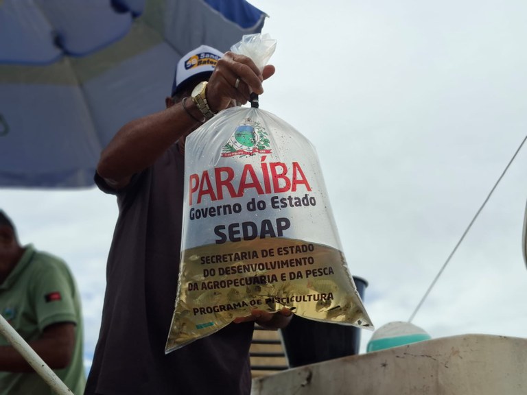 Sedap-PB Alevinos 4.jpeg