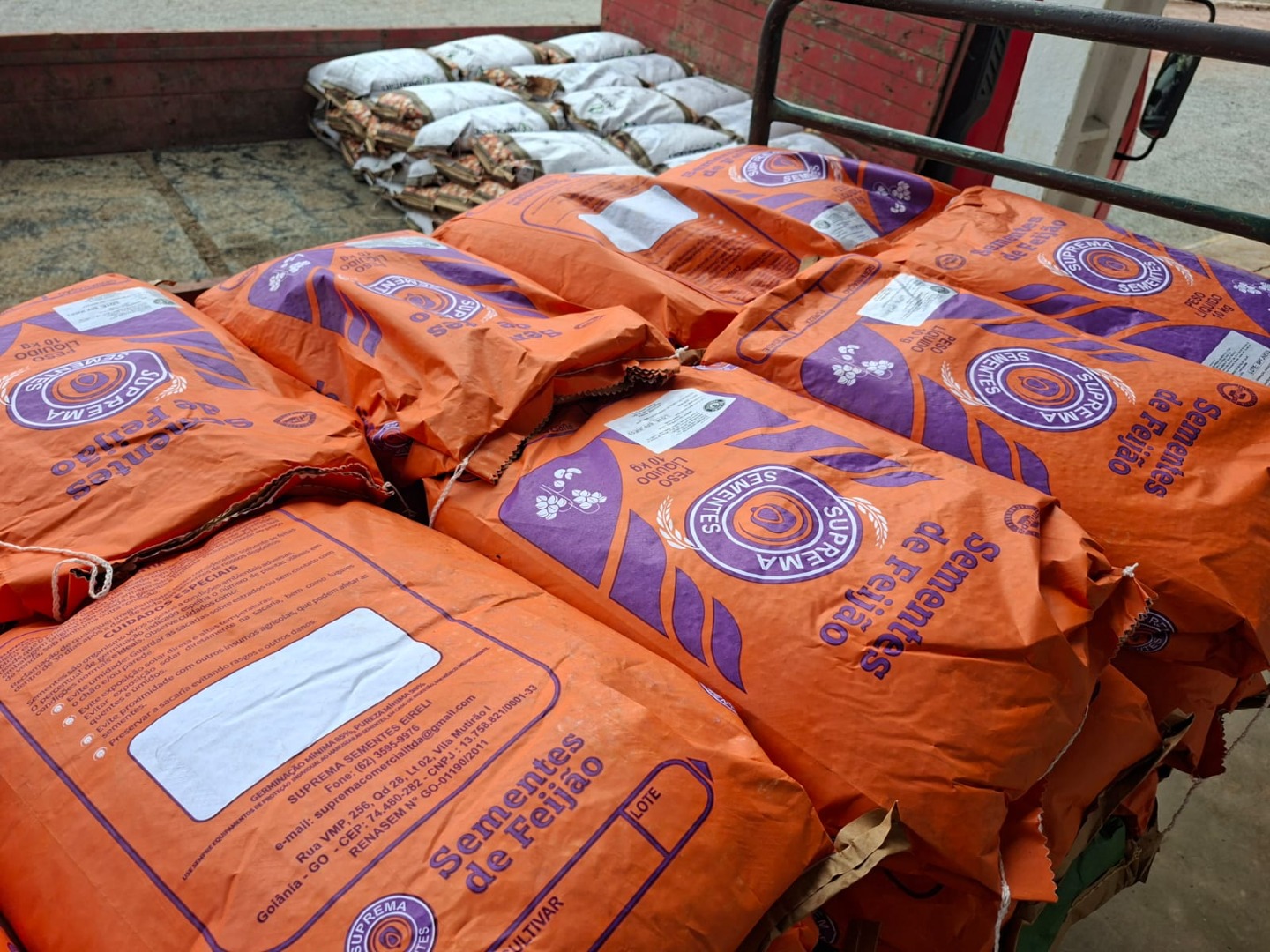 Entrega de sementes 3.jpeg