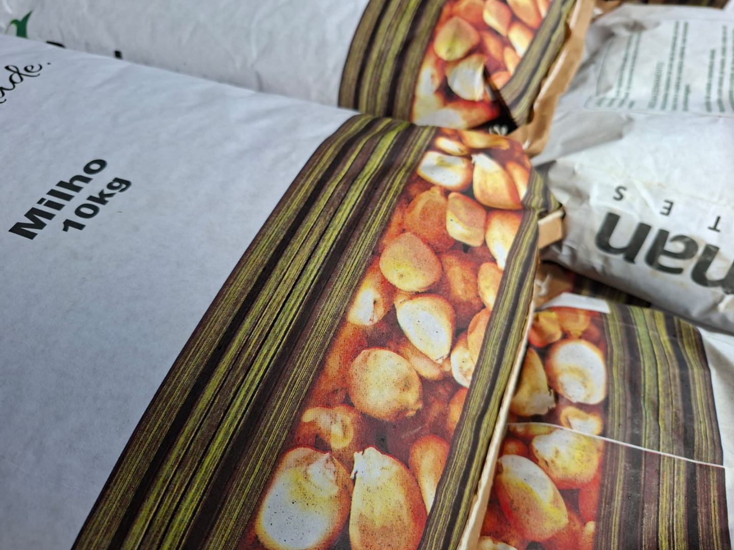 Entrega de sementes 8.jpeg