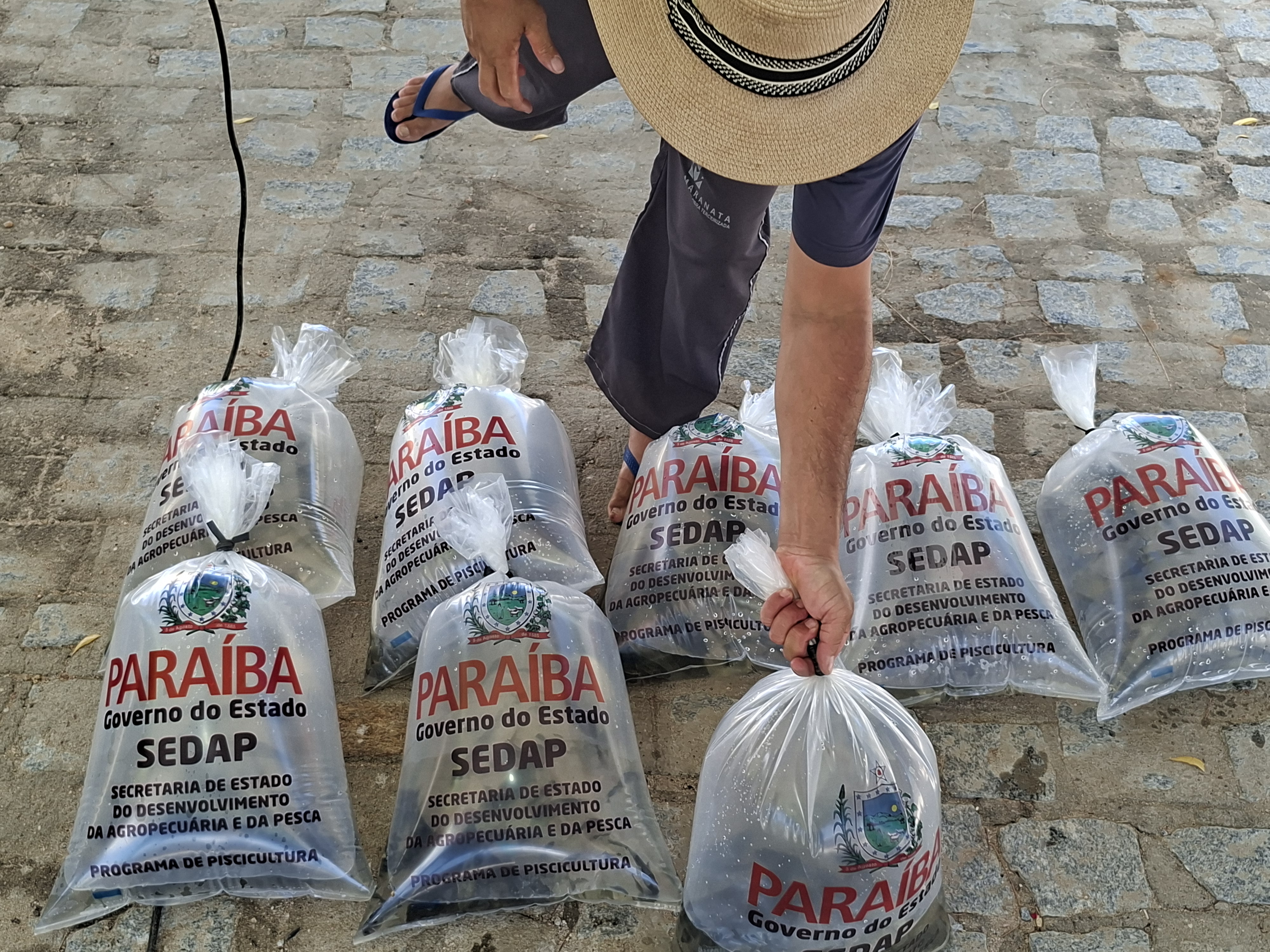 Entrega de alevinos - Agrofeira Passagem.jpg