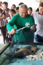 Piscicultura Itaporanga Peixe.jpg