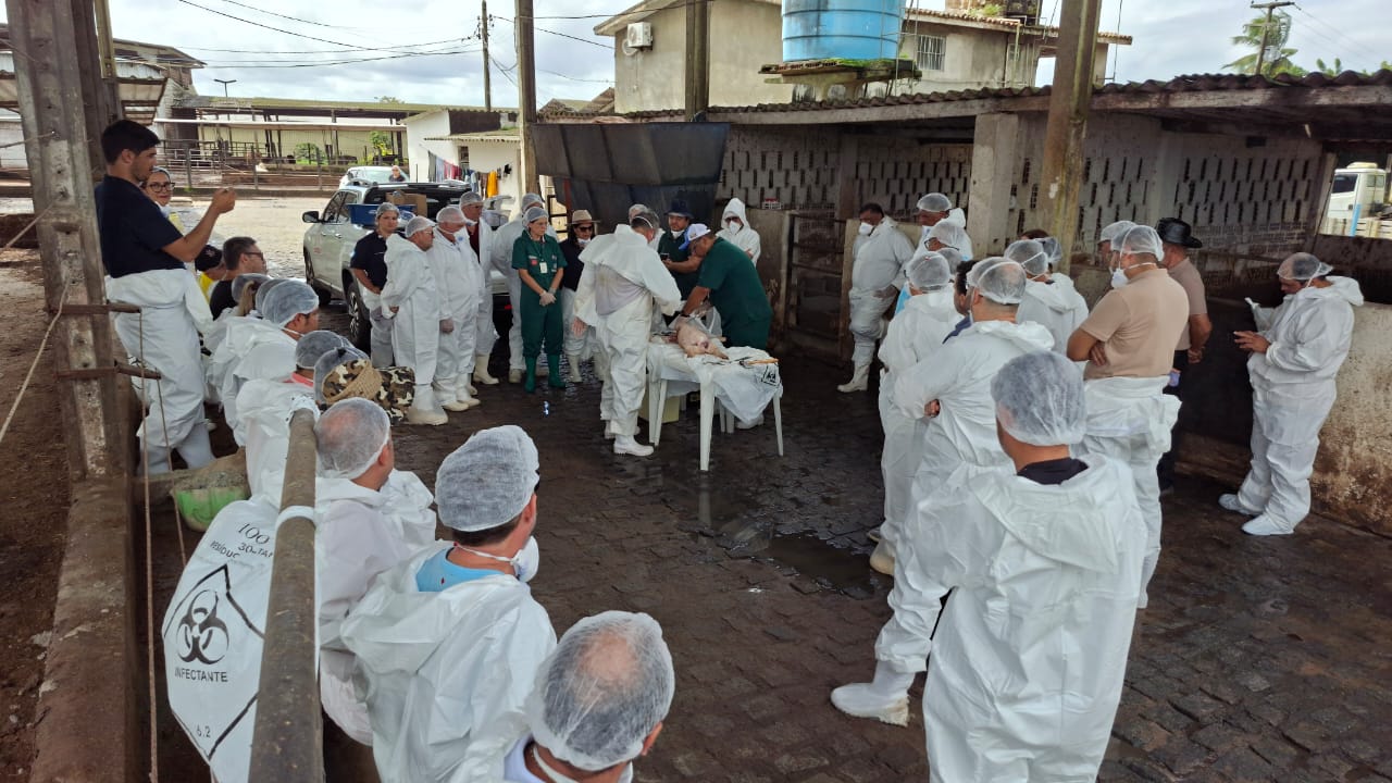 Capacitação Sedap-PB.jpeg