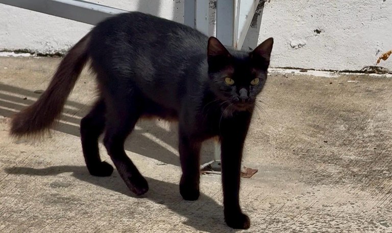 Visita Técnica SEPA_Hospital MEtropolitano (3).jpeg