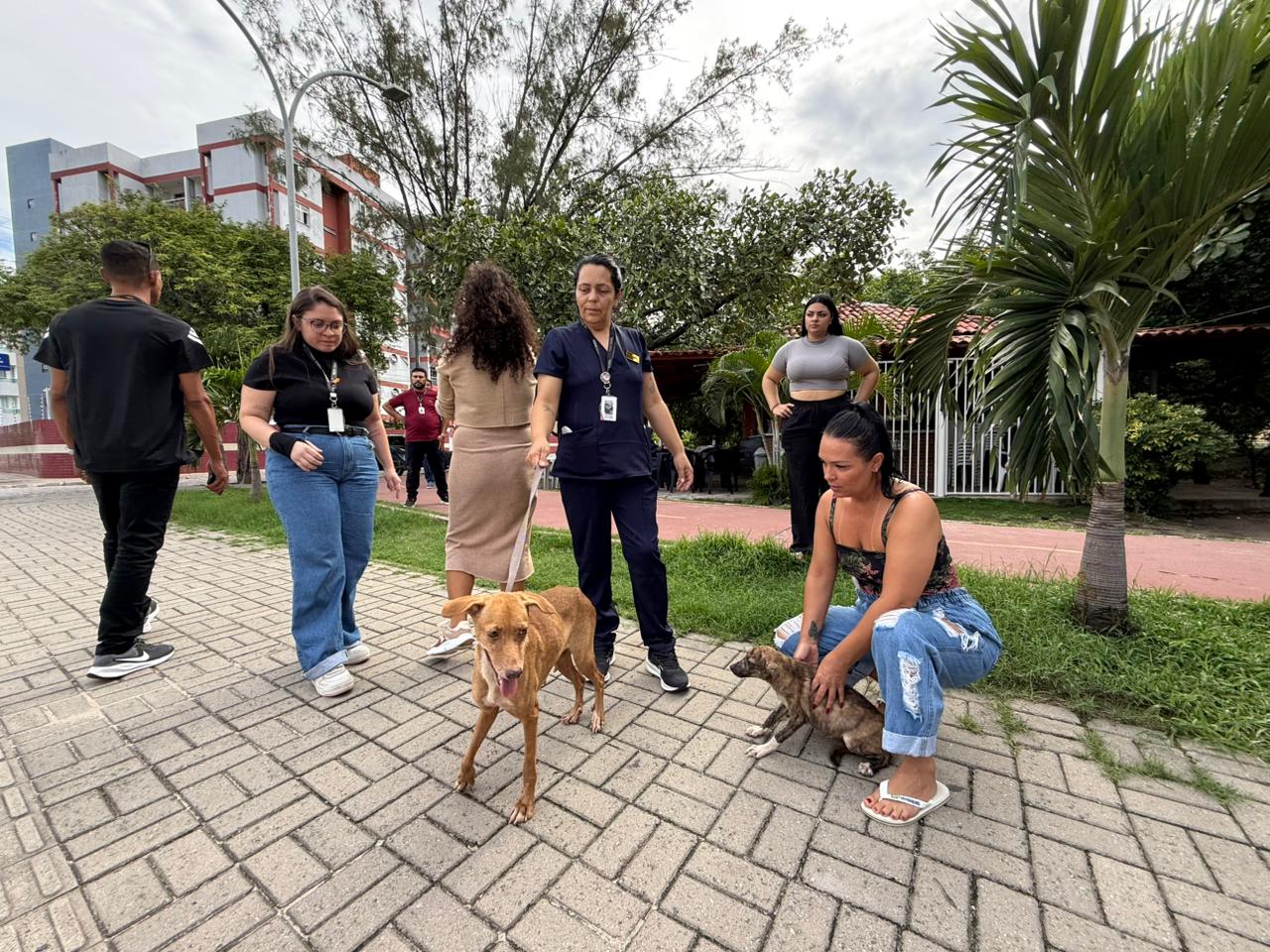 WhatsApp Image 2026-04-14 at 10.28.54 (1).jpeg