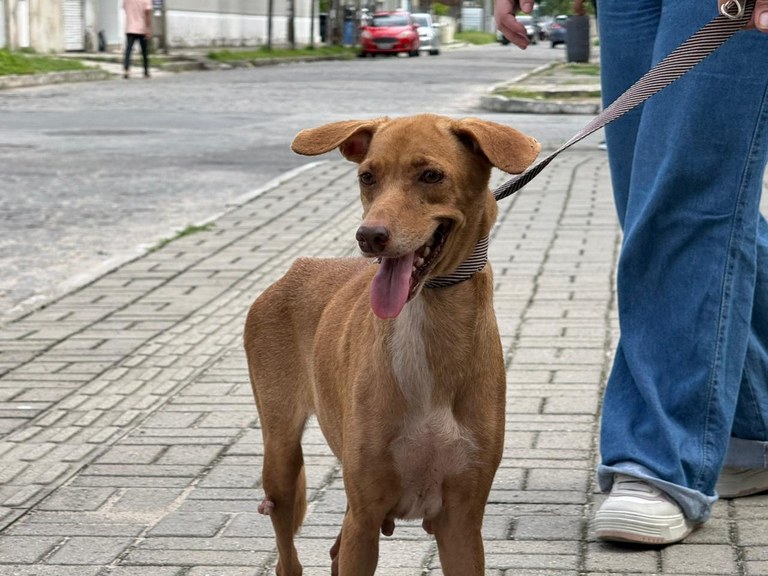 WhatsApp Image 2026-04-14 at 10.28.56.jpeg