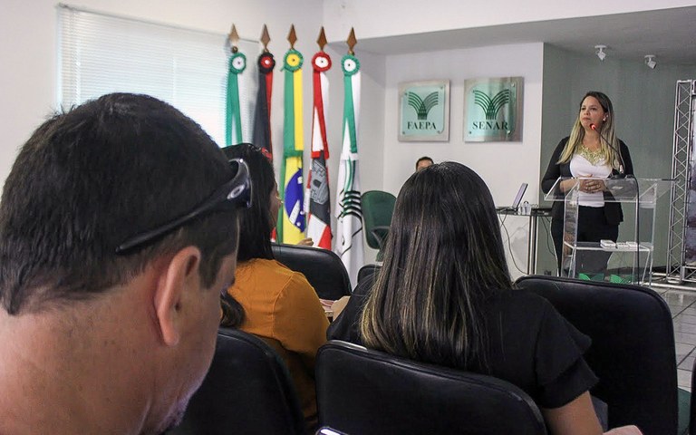 ses reune com municipios sobre saude mental (3).jpg