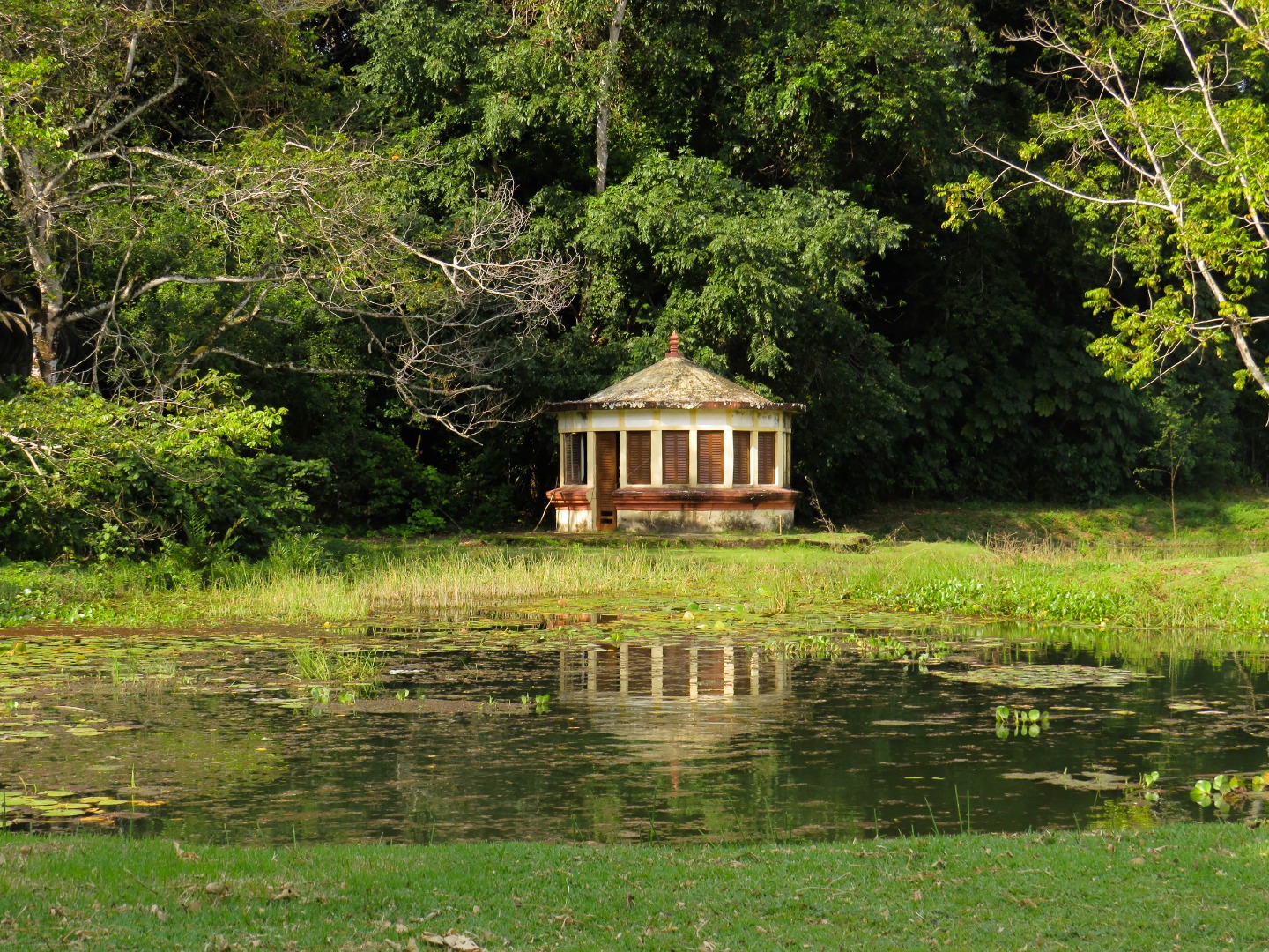 Jardim_Botanico_-_Beatriz_Avelino_(20) (1).jpg