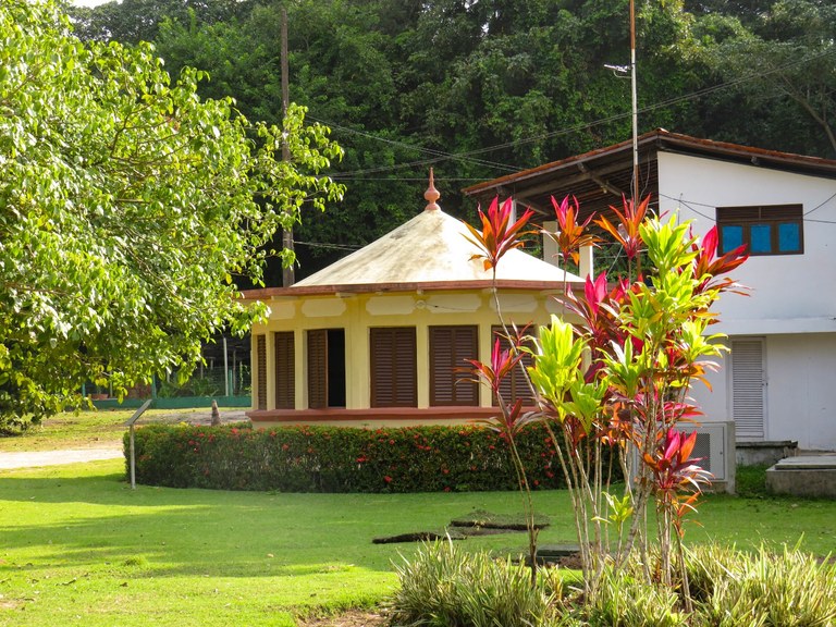 Jardim_Botanico_-_Beatriz_Avelino_(28).jpg