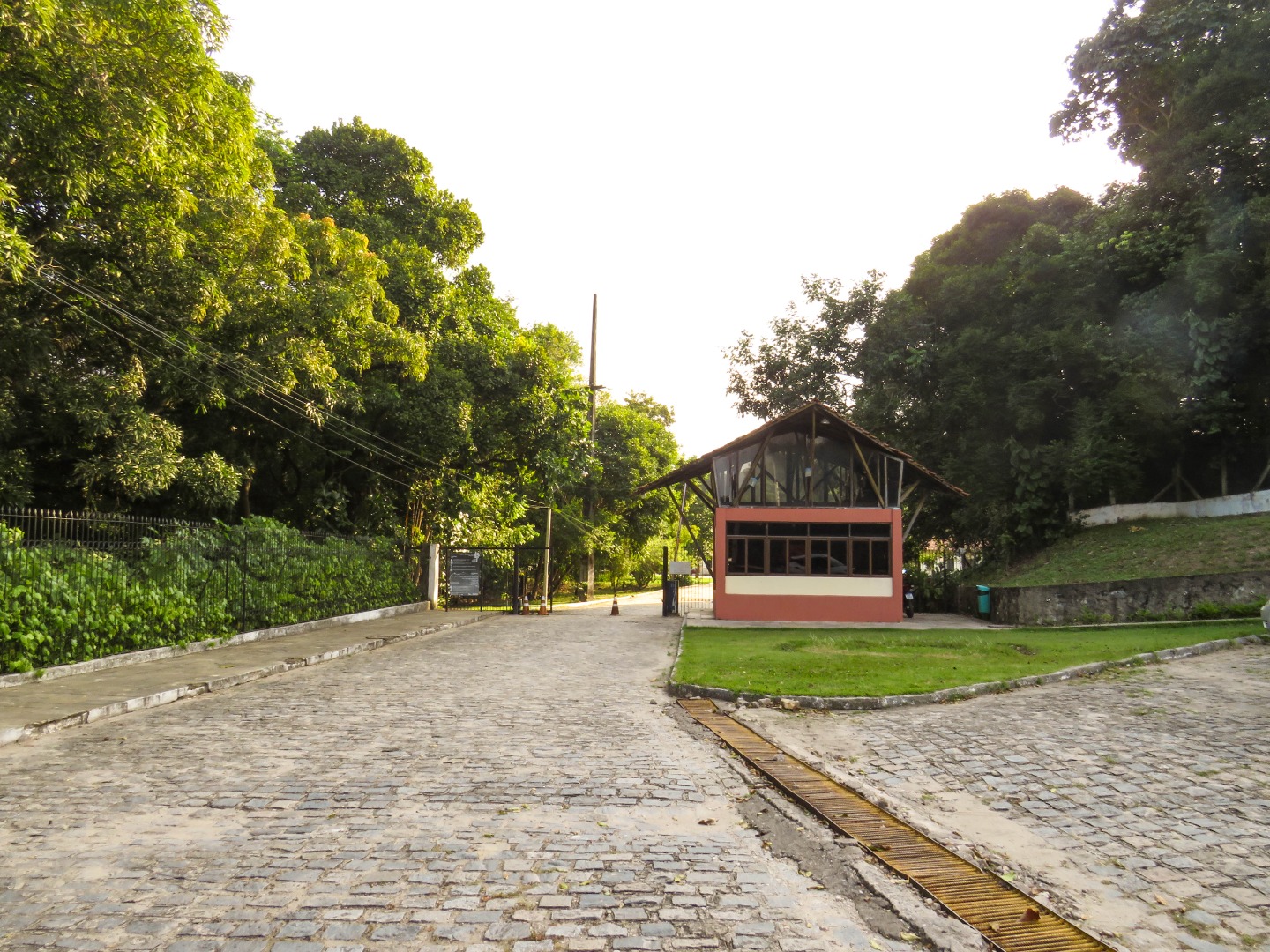Jardim Botanico - Beatriz Avelino (13).jpg