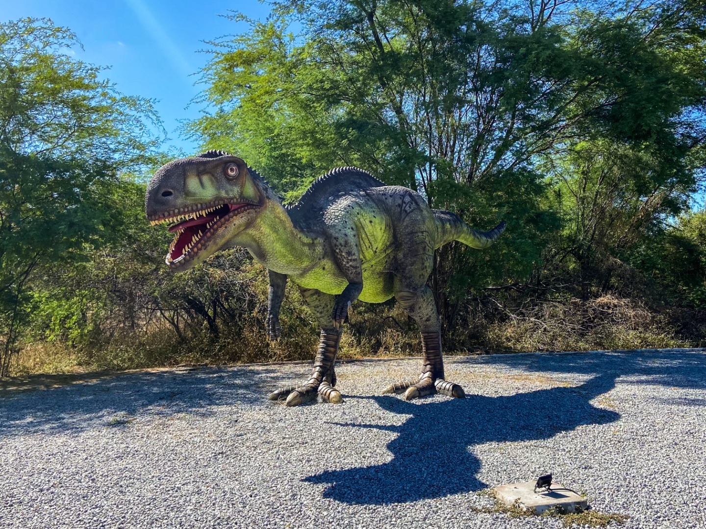 Vale_dos_Dinossauros_Beatriz_Avelino (7).jpeg